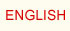 English Version